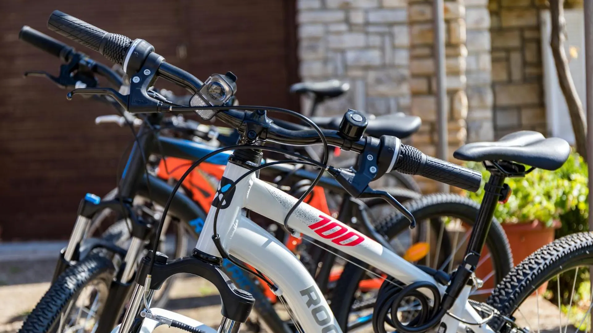 Apartment Tesic Close To The Sea With Shared 4Xbicycles Fažana 0*,  Kroatien